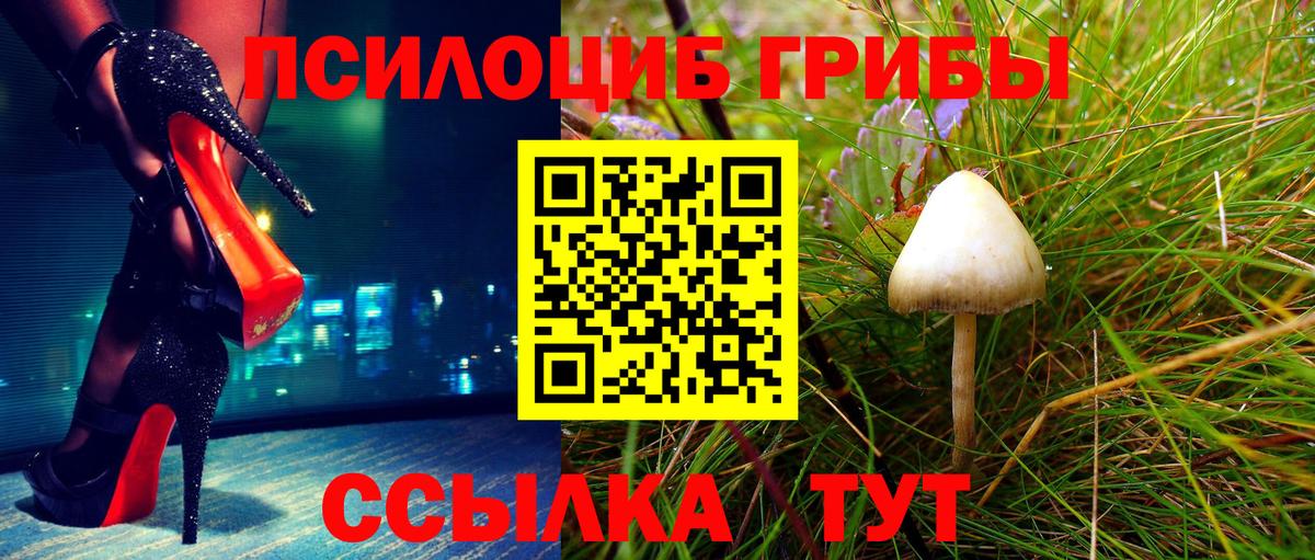 Псилоцибиновые грибы Psilocybine cubensis Дзержинский