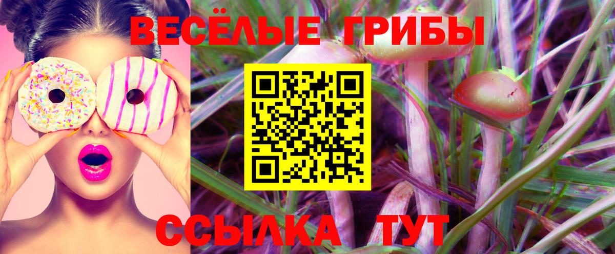 Галлюциногенные грибы GOLDEN TEACHER  Вход с VPN  Дзержинский 